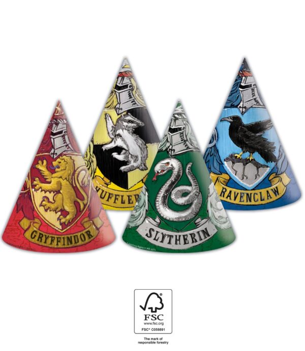 6 Hats FSC - Hats Harry Potter  Hogwarts Houses
