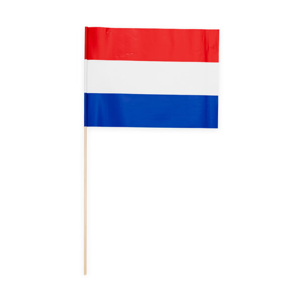 10 Paper flag 20x30cm the Netherlands