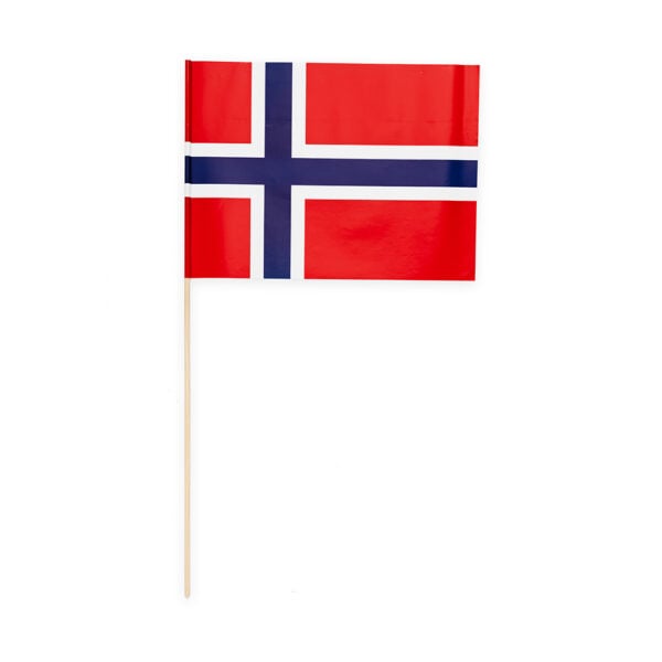 10 Paper flag 20x30cm Norway