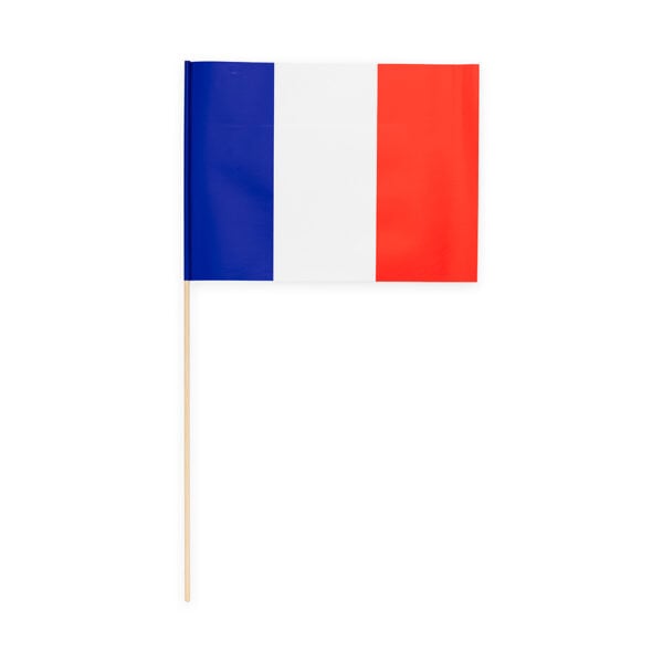 10 Paper flag 20x30cm France