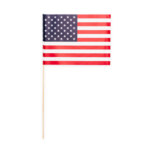 10 Paper flag 20x30cm USA
