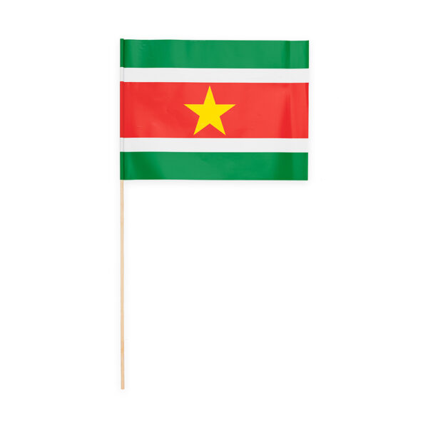 10 Paper flag 20x30cm Suriname