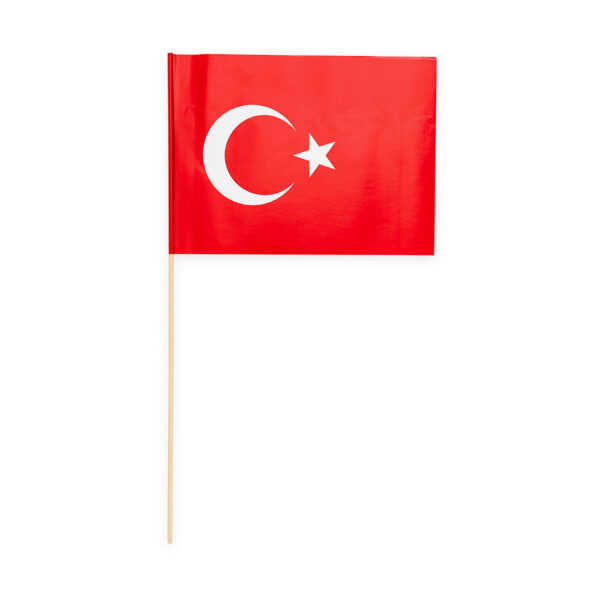 10 Paper flag 20x30cm Türkiye