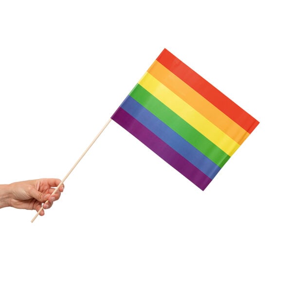 10 Paper flag 20x30cm Pride - Image 2