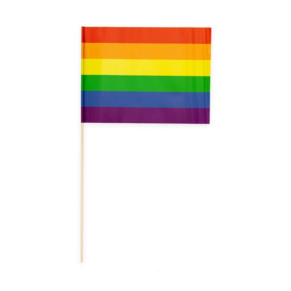 10 Paper flag 20x30cm Pride