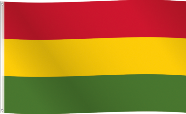 Flag Carnival 150cm x 90cm - Image 2