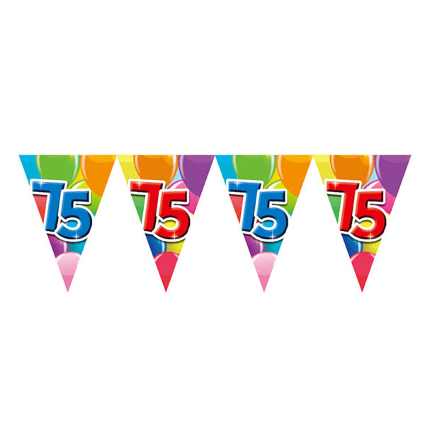 Bunting PET 10m - 2-side print - flagsize 20x30cm -  '75'