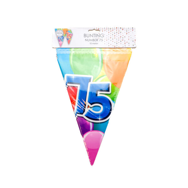 Bunting PET 10m - 2-side print - flagsize 20x30cm -  '75' - Image 2