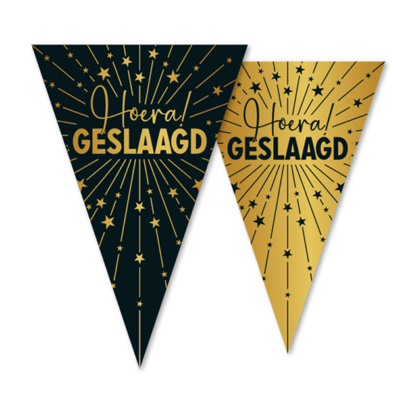 Bunting PET 10m - 2-side print - flagsize 20x30cm - Hoera Geslaagd Golden Celebrations