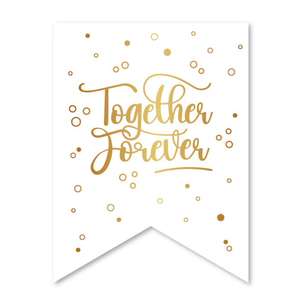 Pennant banner paper 6m - Together Forever