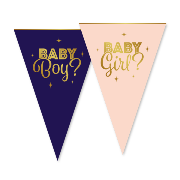Bunting Paper 6m 20x30cm - Gender Reveal