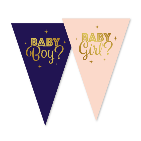 Bunting PET 10 m flags 20x30cm - Gender Reveal
