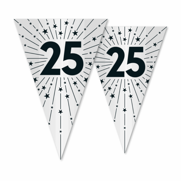 Bunting PET 10m - 2-side print - flagsize 20x30cm - '25' silver
