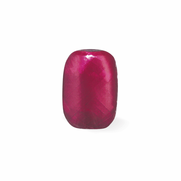 Ribbon 24 cobs 20m x 5mm burgundy