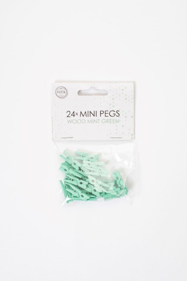24 Mini pegs wood mint green