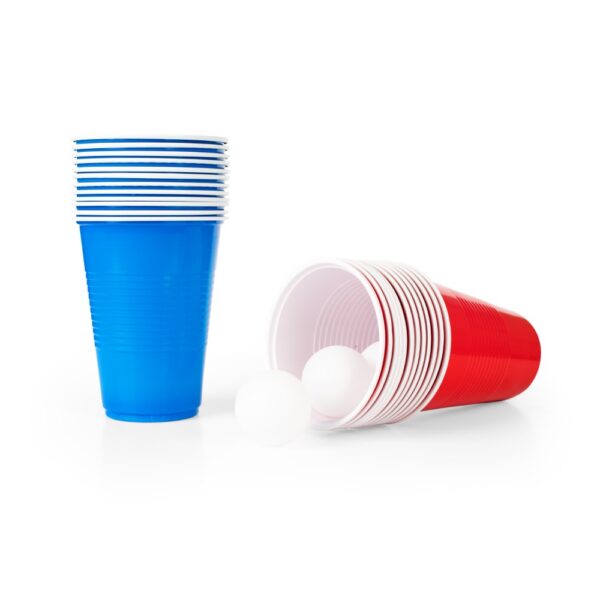 Beer Pong set
