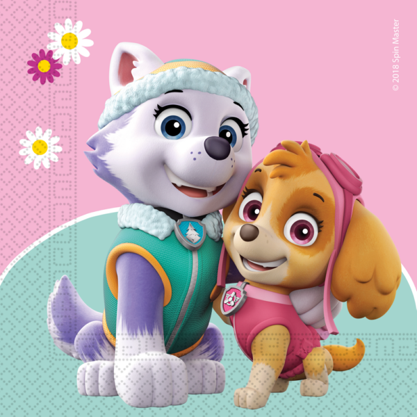 20 2-Ply Paper Luncheon Napkins 33x33cm  - Paw Patrol Skye & Everest
