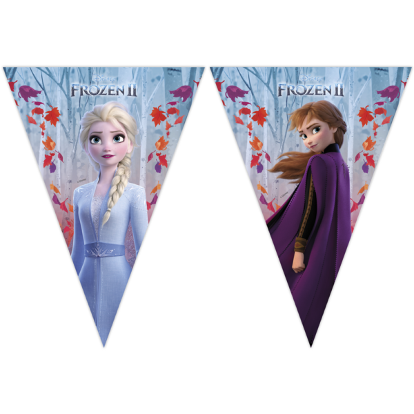 1 Triangle Flag Banner (9 flags) - Frozen 2