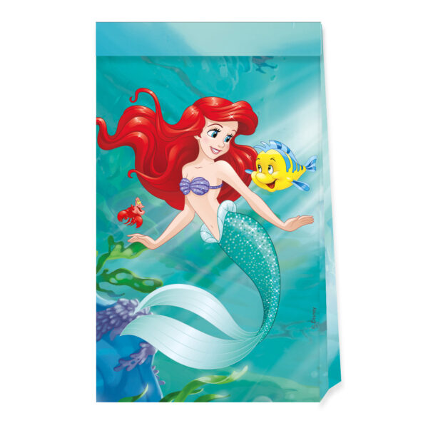 4 FSC Paper Party Bags - Ariel Curious