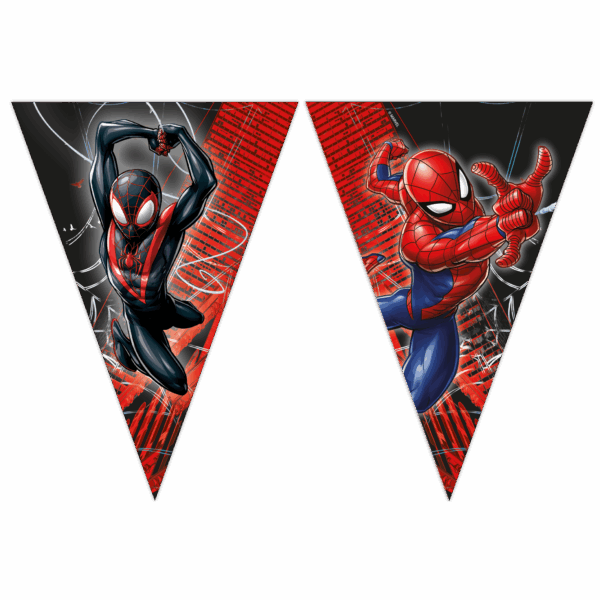Paper Triangle Banner FSC - Spiderman World of Web